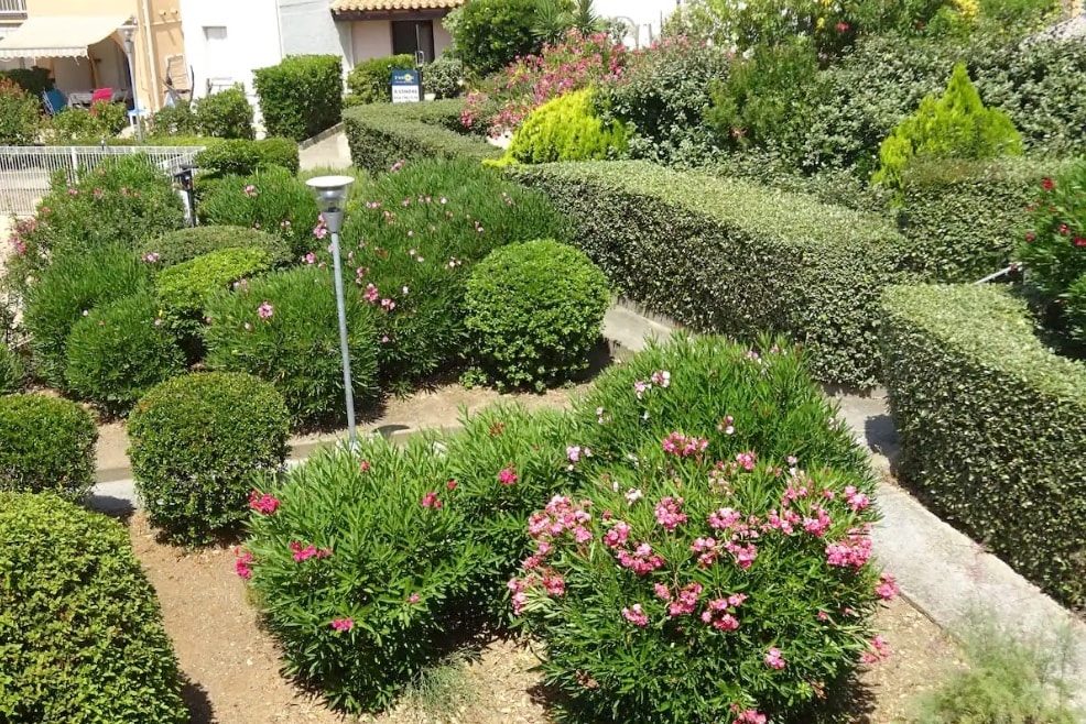 Location saisonnière Côte d'Azur - appartement 31
